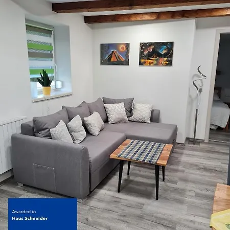 Appartement Haus Schneider à Kappel-Grafenhausen Extérieur photo